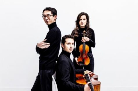 !Amatis Trio (c) Foppe Schut